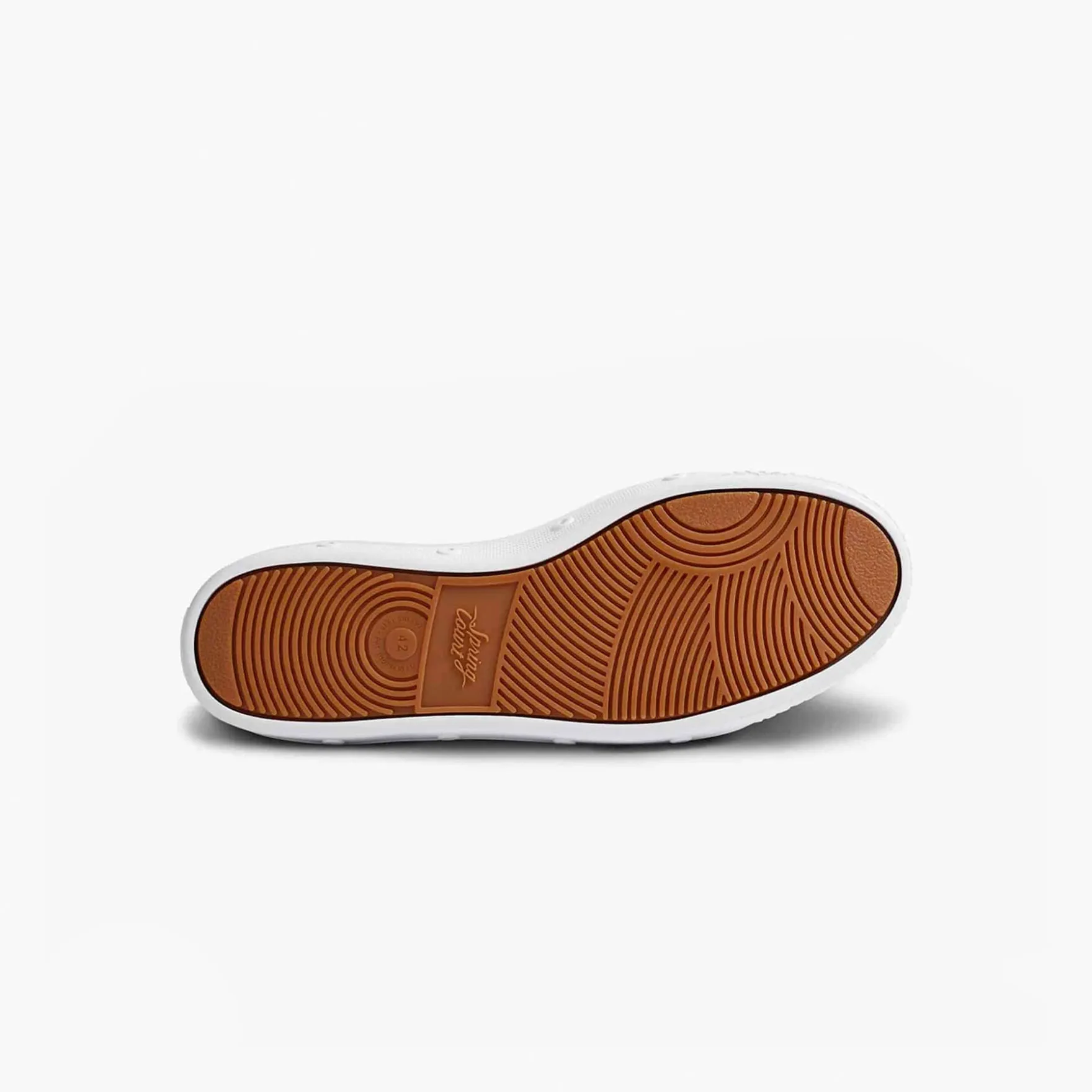 C2 CANVAS