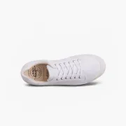 C2 CANVAS