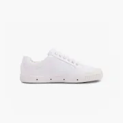 C2 CANVAS