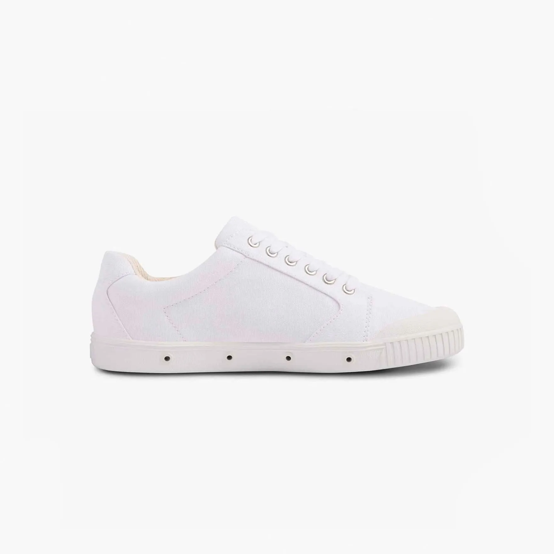 C2 CANVAS