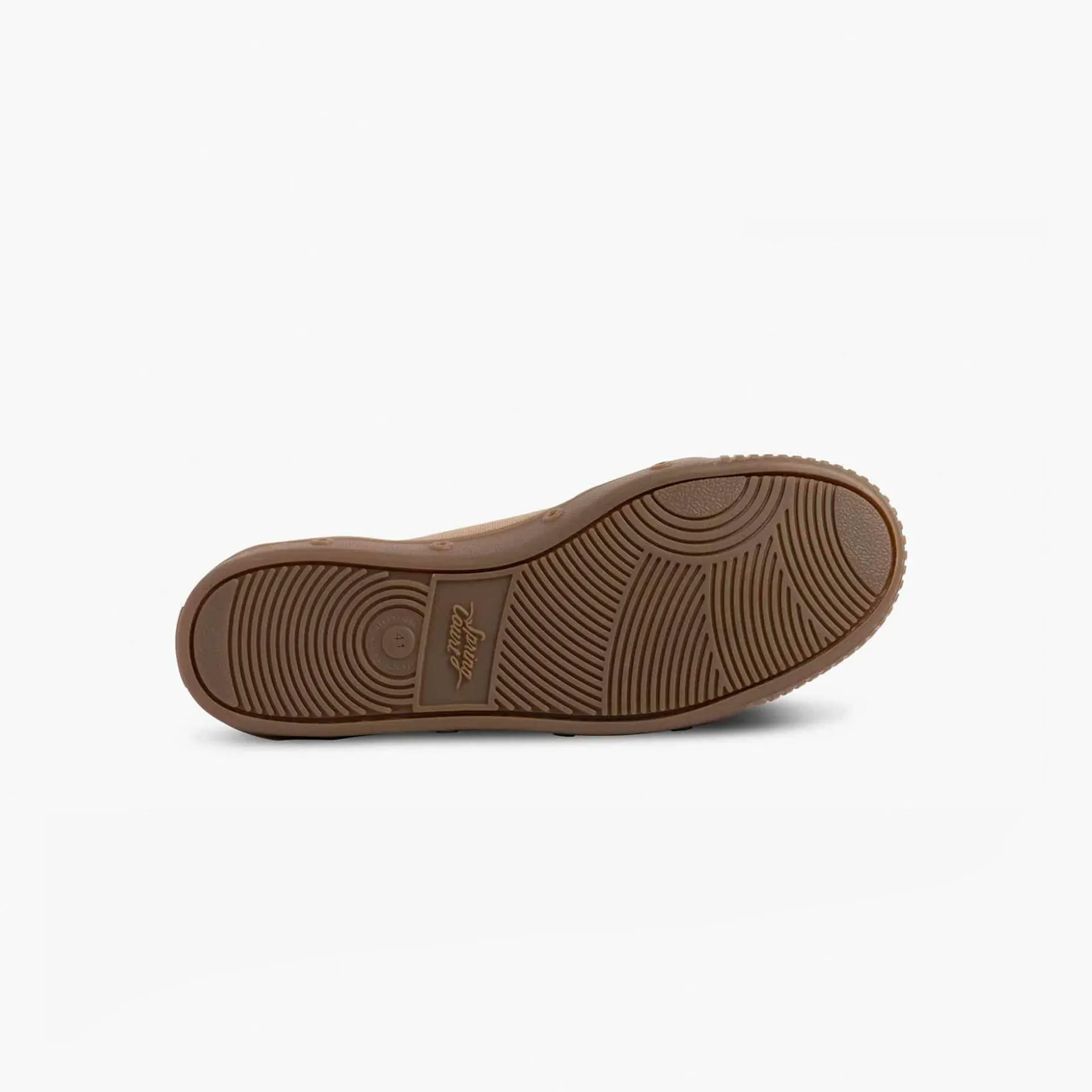 C2 CANVAS