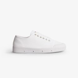G2 CANVAS